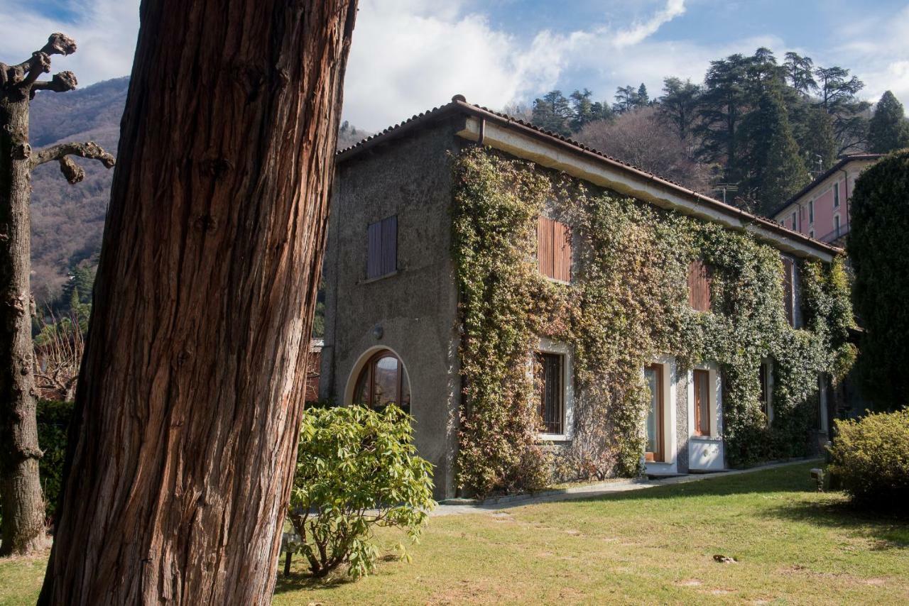 Villa Giu Luxury - The House Of Travelers Faggeto Lario Dış mekan fotoğraf