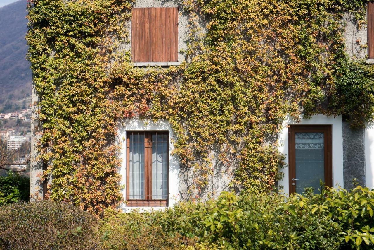 Villa Giu Luxury - The House Of Travelers Faggeto Lario Dış mekan fotoğraf